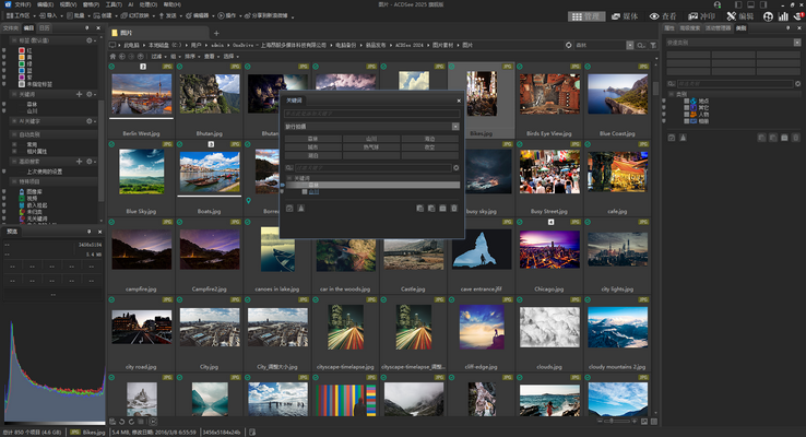 ACDSee 2025 发布!AI 科技开启图片管理及创意新纪元!插图3 ACDSee 2025 发布!AI 科技开启图片管理及创意新纪元!插图3