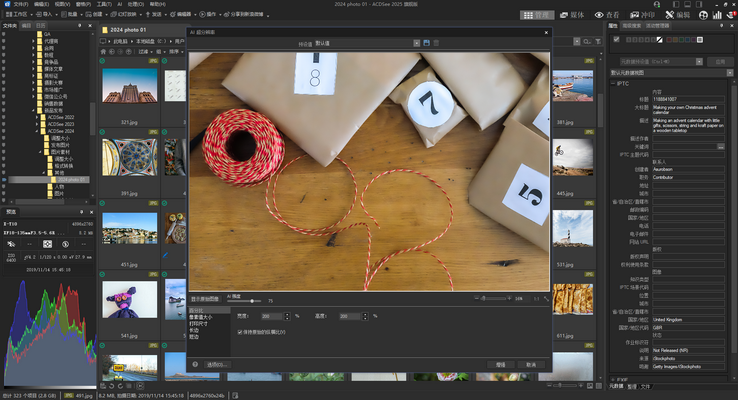 ACDSee 2025 发布!AI 科技开启图片管理及创意新纪元!插图1 ACDSee 2025 发布!AI 科技开启图片管理及创意新纪元!插图1