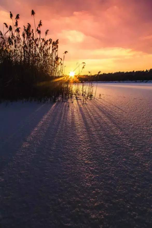 为什么说掌握光线，摄影就成功了一半插图2