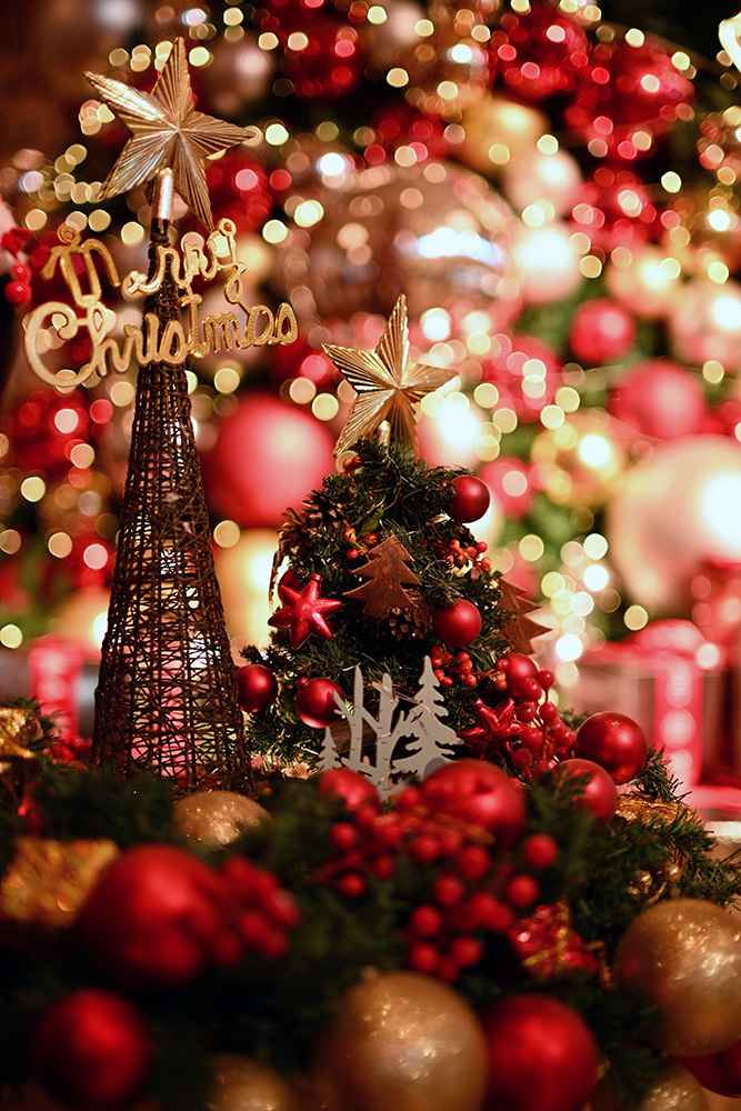 简单4招,教你在室内打造梦幻圣诞人像插图1 简单4招,教你在室内打造梦幻圣诞人像插图1