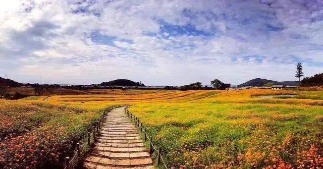 春季拍花、拍人像都能用的万能拍照技巧！插图5