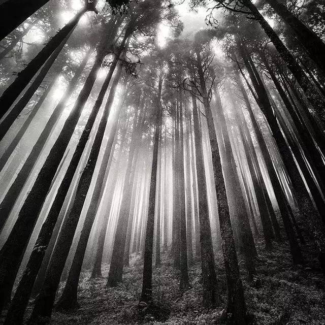 如何用节奏去构图？很简单，但这个错误不要犯！插图17