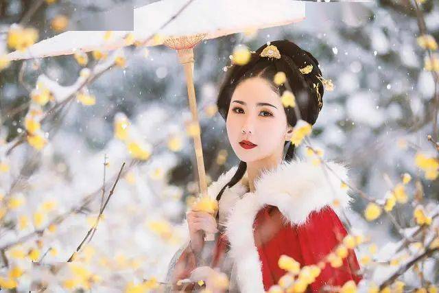 冬日腊梅怎么拍？28张图例手把手教你！插图23