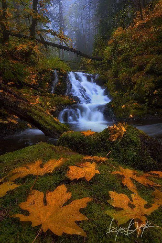 竖构图，视觉冲击力竟然可以这么大！插图15