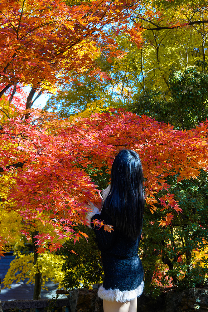 探寻京都红叶圣地，做一场光怪陆离的梦插图12