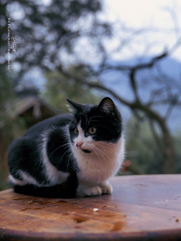 用尼康Z30定格超带感的街拍大片！插图17