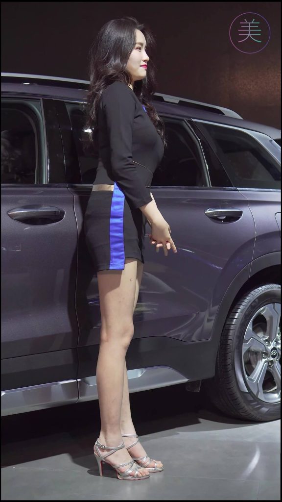 NO.0001 2019 东莞车展 Racing Model HYUNDAI车模 06[1V/337MB]插图1