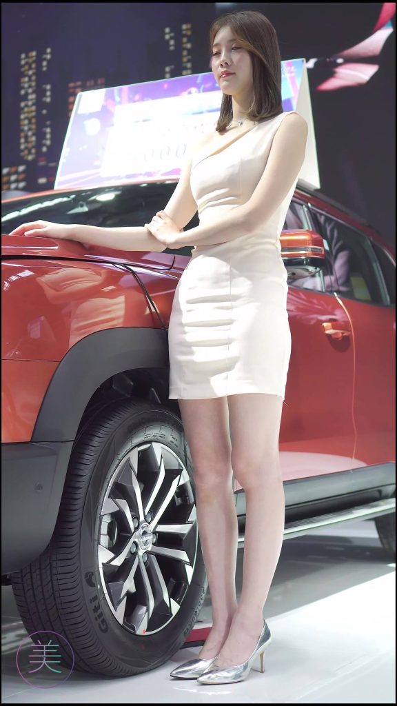 NO.0013 2020 南宁东盟车展 Racing Model HAVAL车模01[1V/308MB]插图4