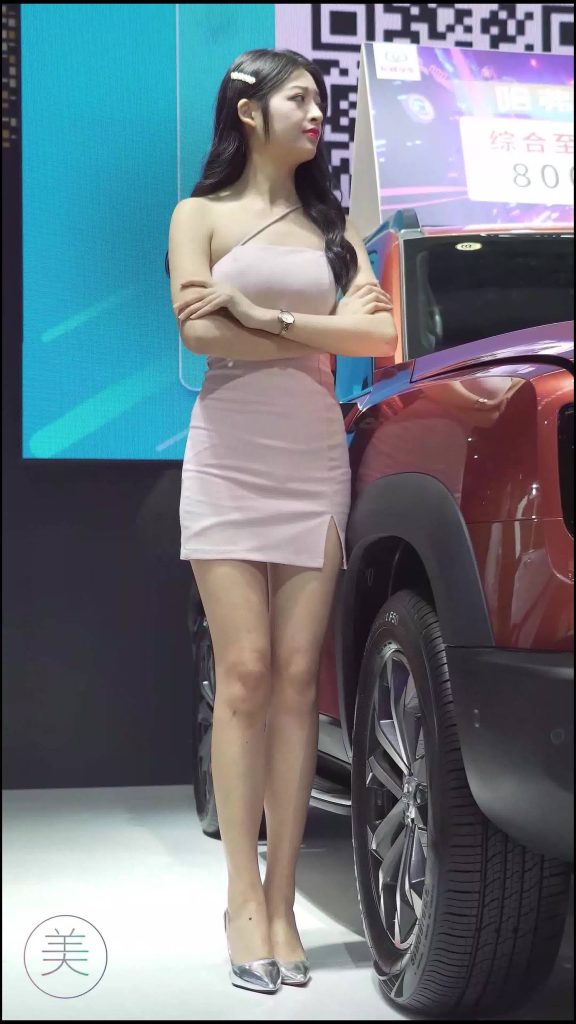 NO.0014 2020 南宁东盟车展 Racing Model HAVAL车模02[1V/257MB]插图