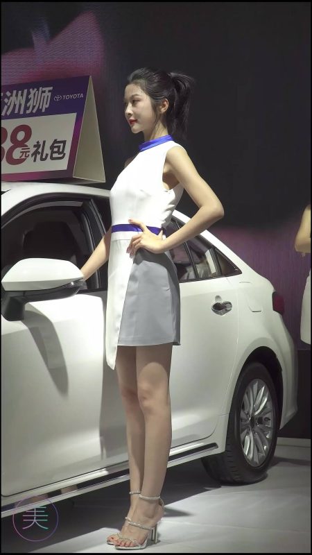 NO.0084 2021 东莞车展 Racing Model TOYOTA车模04[1V/263MB]-无料摄影圈