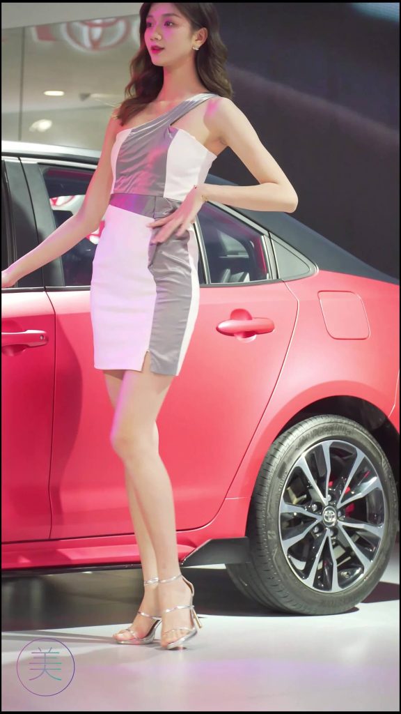 NO.0086 2021 东莞车展 Racing Model TOYOTA车模06[1V/290MB]插图1