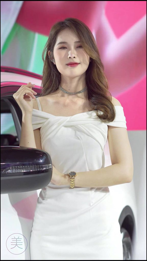 NO.0089 2021 东莞车展 Racing Model 奇瑞车模06[1V/810MB]插图