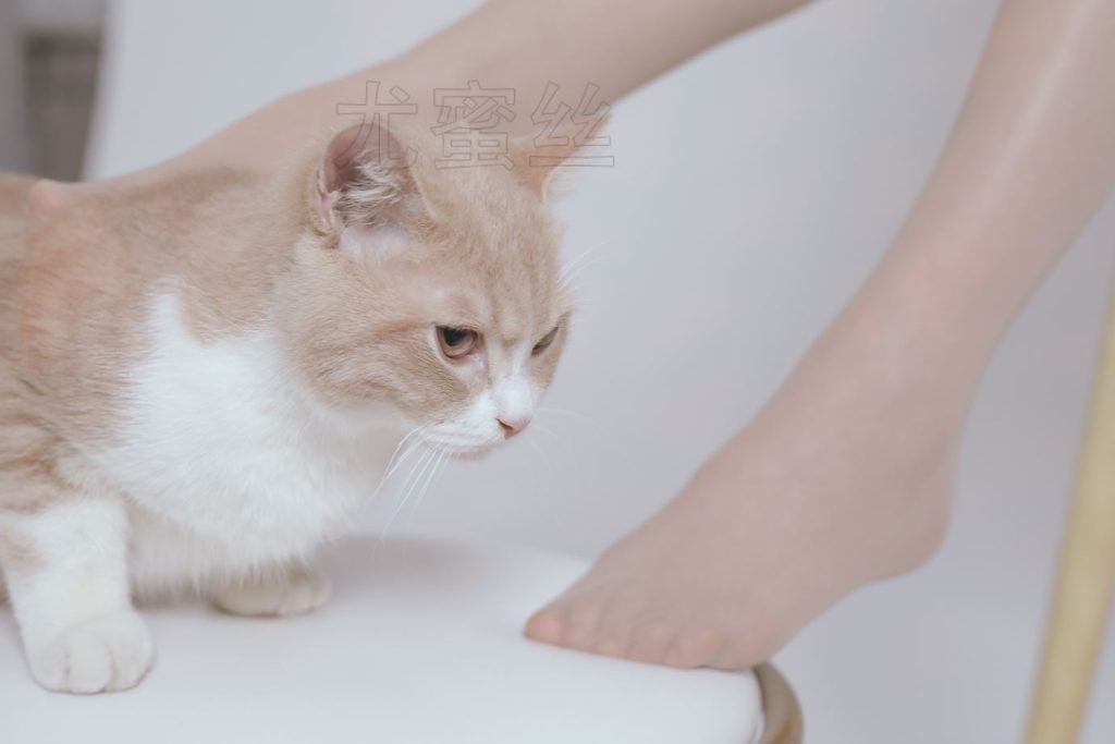 尤密思 No.011 穿搭推广展示图集 [72P/192MB]插图