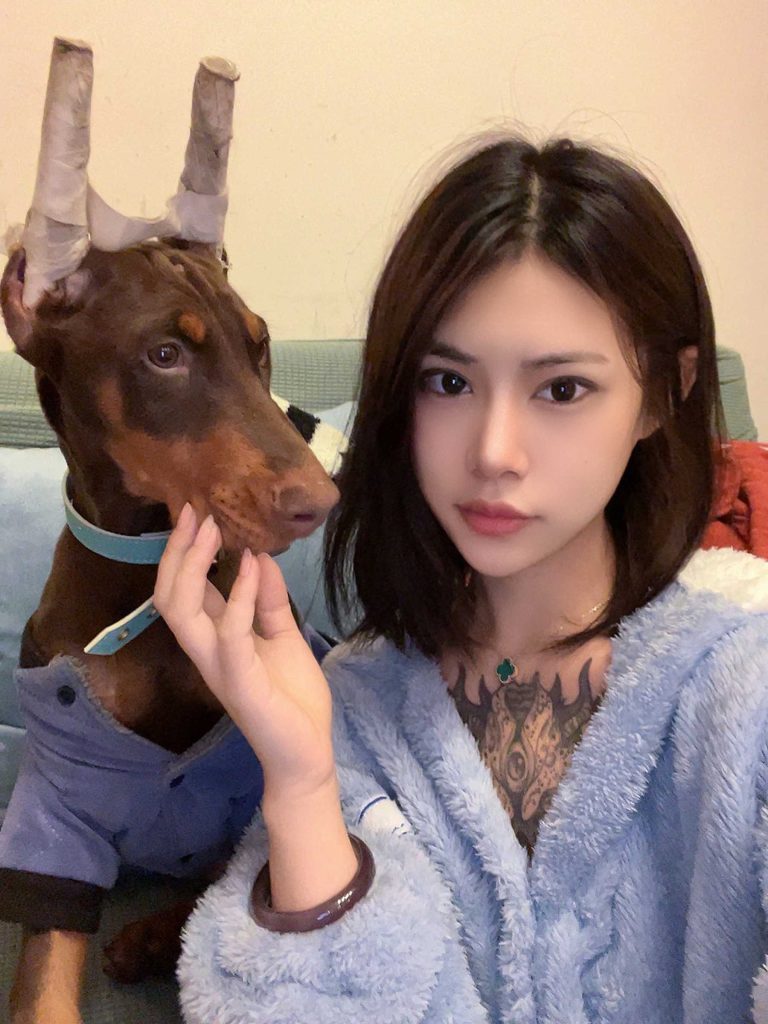 白鹿微密圈视图合集 [286P/19V/379MB]插图2