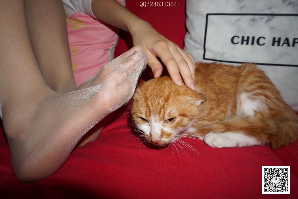 大生模拍 No.090 灰丝高跟小野猫 [101P/1V/435MB]插图3