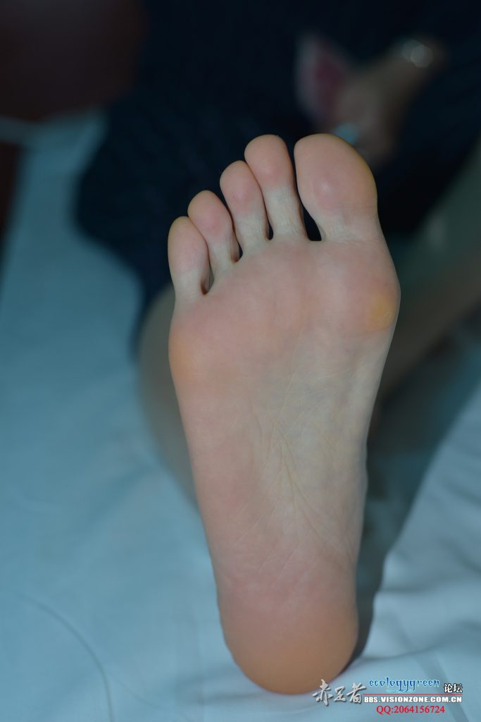 Ecologygreen摄影作品 NO.032 精致的每足[35P/115MB]插图2