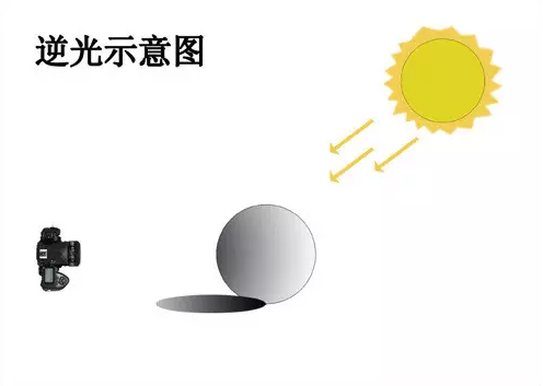 摄影技巧 一盏灯搞定美食摄影插图3