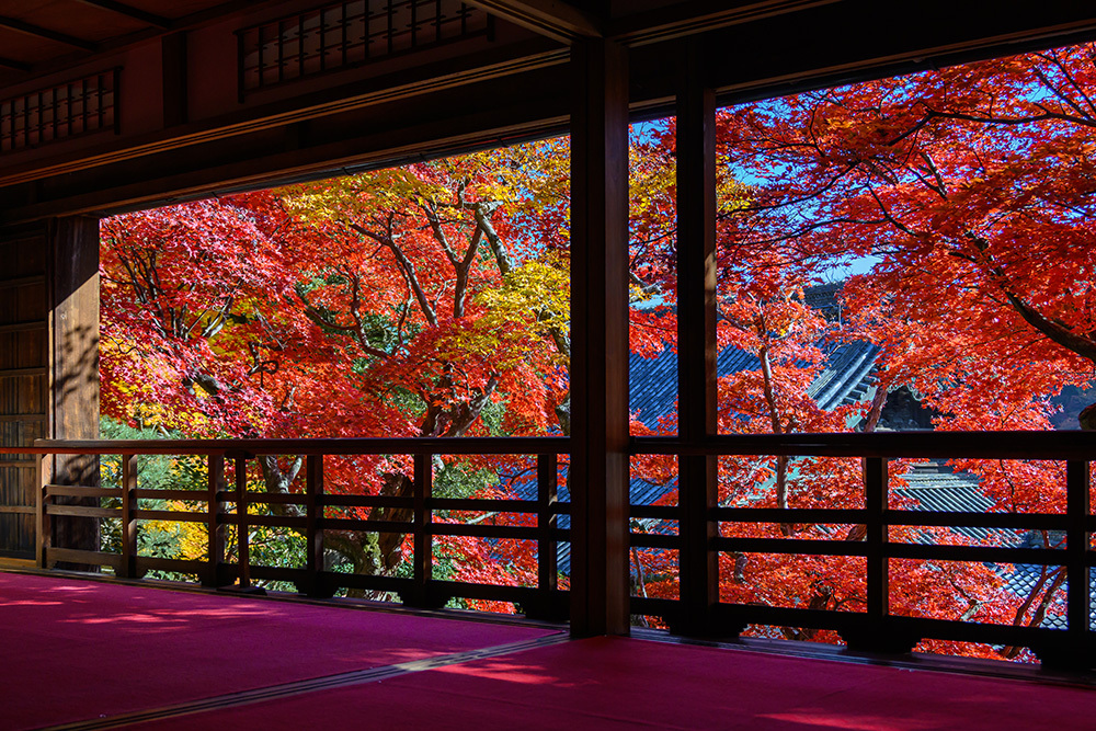 探寻京都红叶圣地，做一场光怪陆离的梦插图5