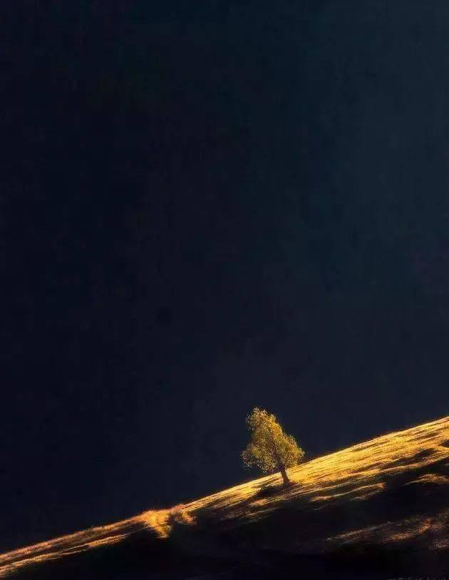 竖构图，视觉冲击力竟然可以这么大！插图14