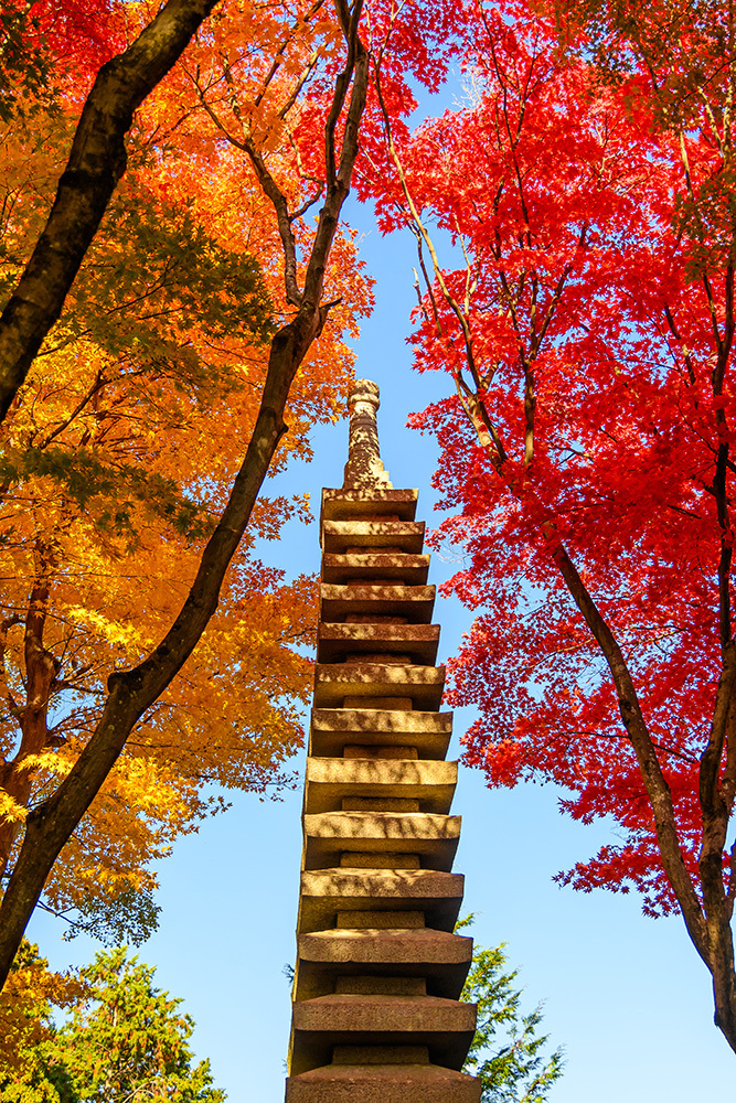 探寻京都红叶圣地，做一场光怪陆离的梦插图13