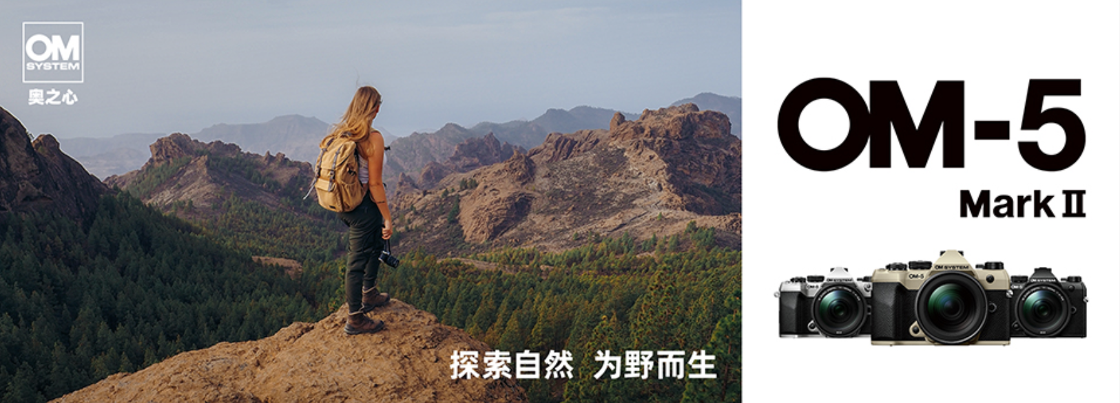 奥之心发布国行版OM-5 MarkII-无料摄影圈