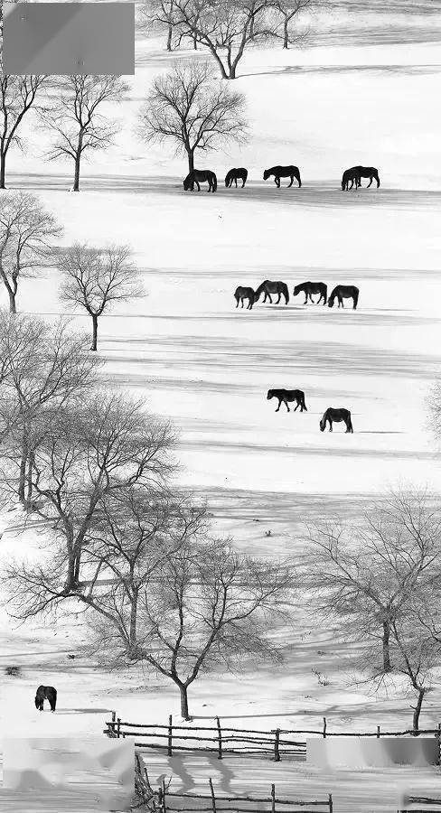 竖构图，视觉冲击力竟然可以这么大！插图3