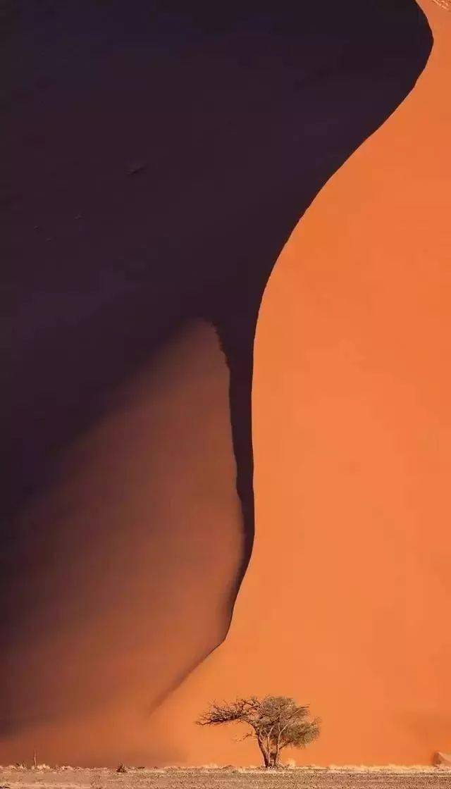 竖构图，视觉冲击力竟然可以这么大！插图5