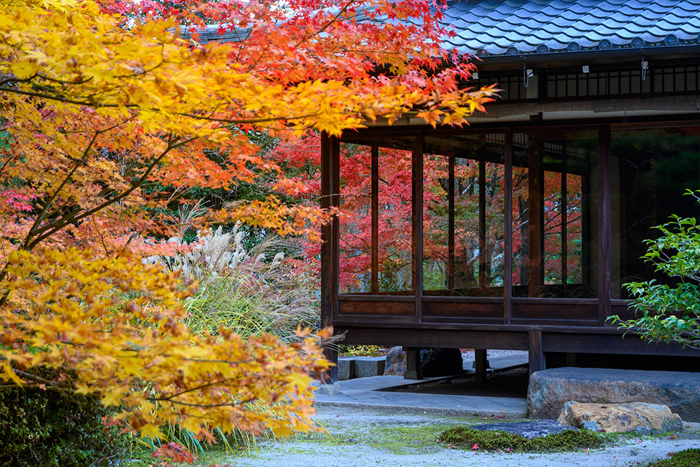 探寻京都红叶圣地，做一场光怪陆离的梦插图9