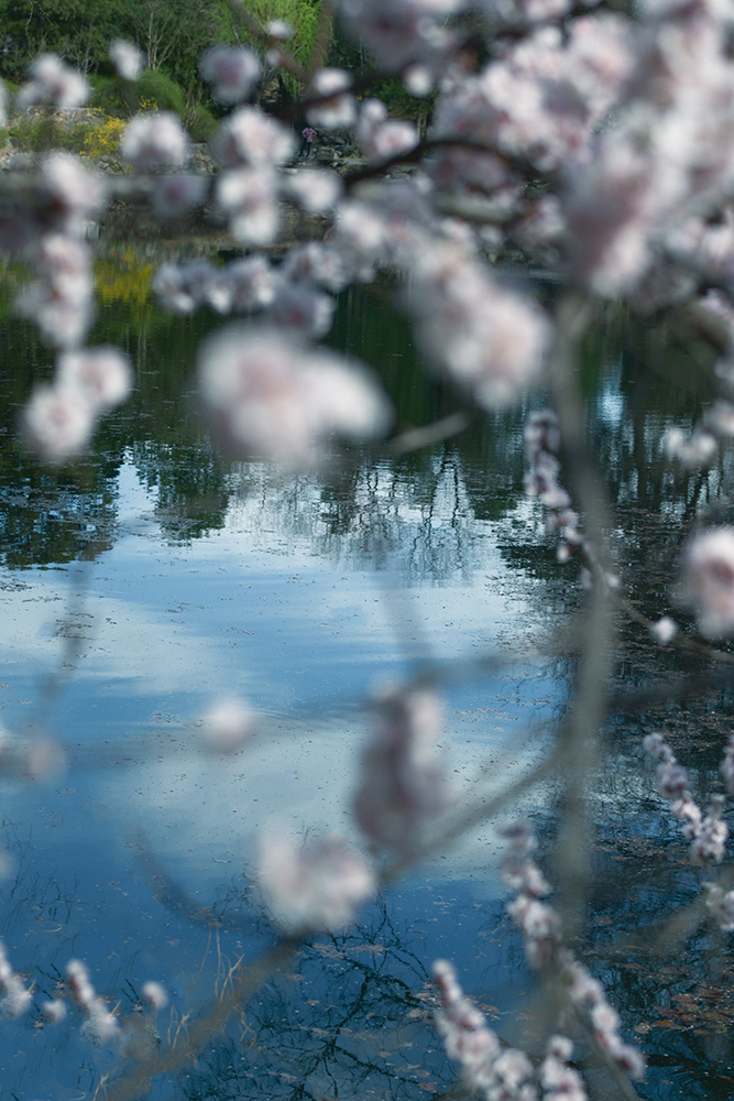 如何将素雅新中式拍出别样韵味？插图6