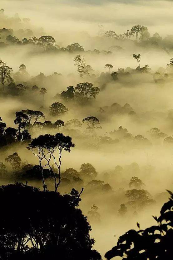 如何用节奏去构图？很简单，但这个错误不要犯！插图18