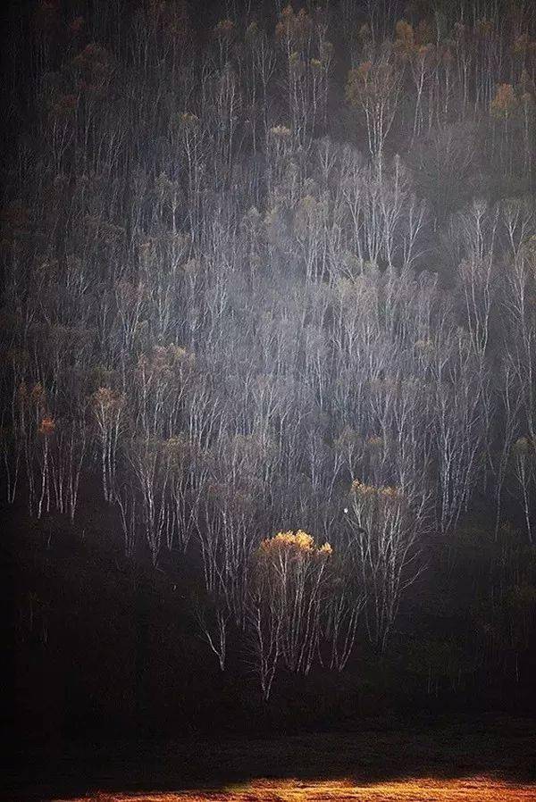 竖构图，视觉冲击力竟然可以这么大！插图2