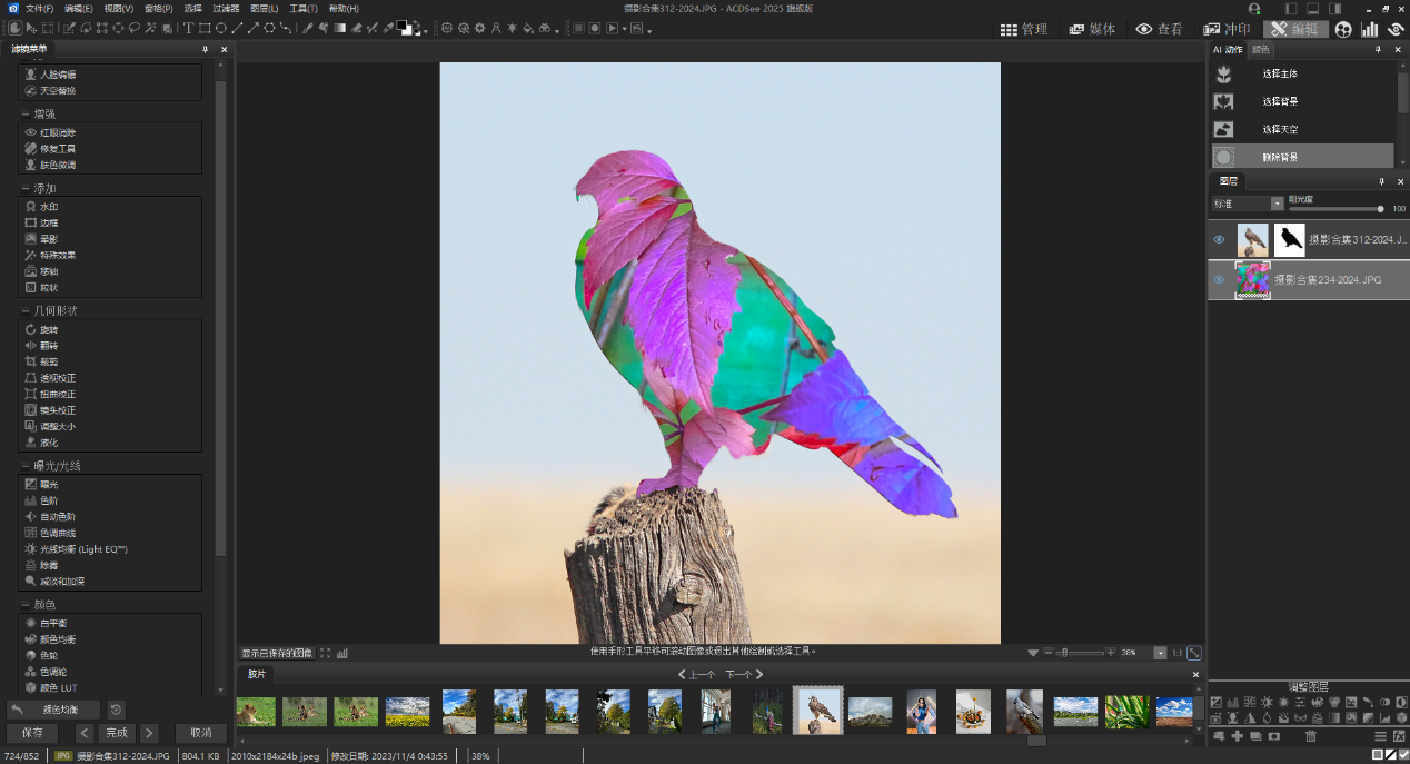 ACDSee 2025 旗舰版:摄影与创意的得力助手插图4 ACDSee 2025 旗舰版:摄影与创意的得力助手插图4