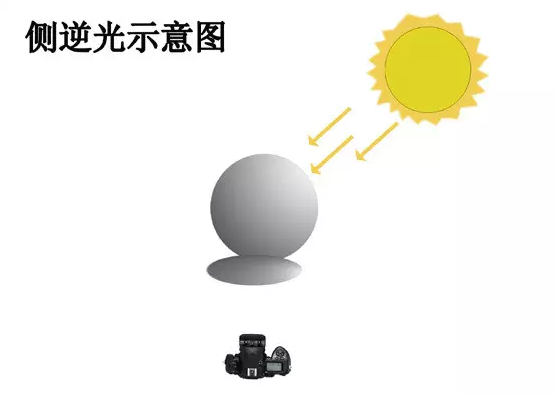 摄影技巧 一盏灯搞定美食摄影-无料摄影圈