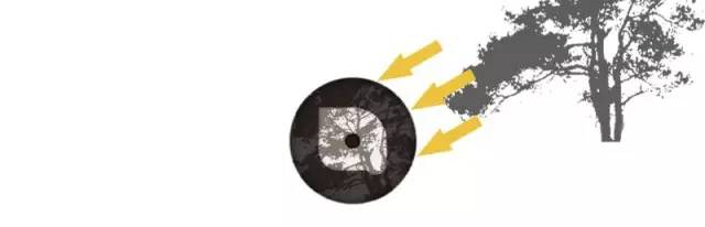 为什么说掌握光线，摄影就成功了一半插图22