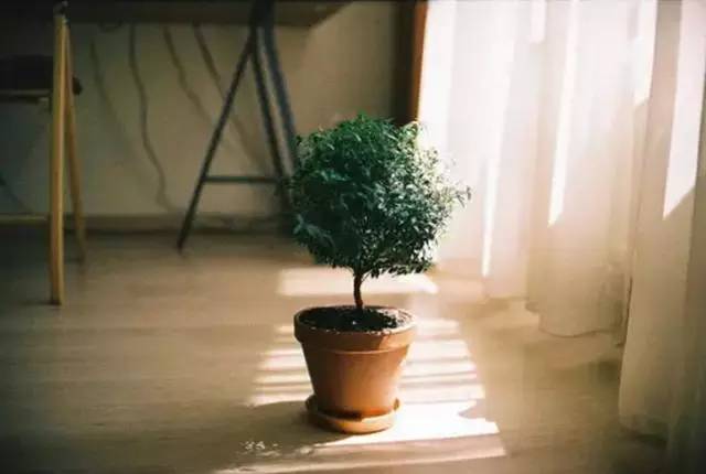 为什么说掌握光线，摄影就成功了一半插图8