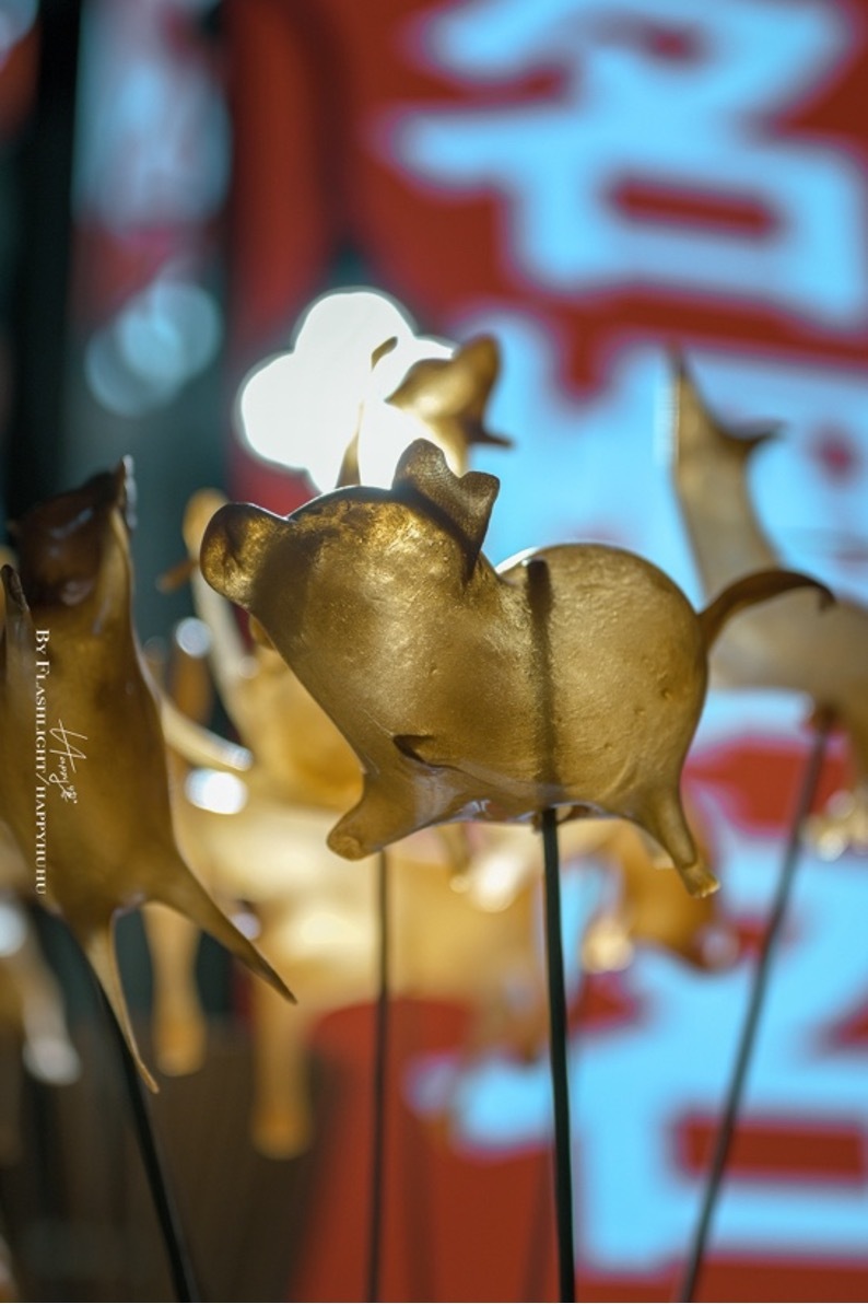 用尼康Z30定格超带感的街拍大片！插图12