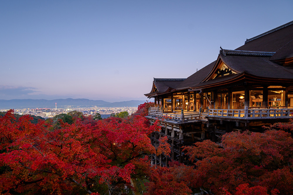 探寻京都红叶圣地，做一场光怪陆离的梦插图15