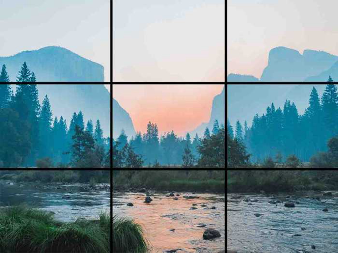 随手拍大片？试试三分法！插图8