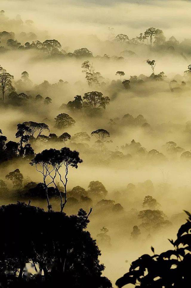 竖构图，视觉冲击力竟然可以这么大！插图13