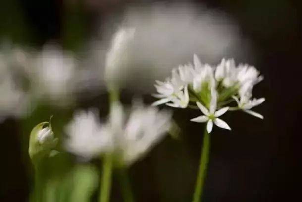 这10个构图错误，你犯过几个！插图6