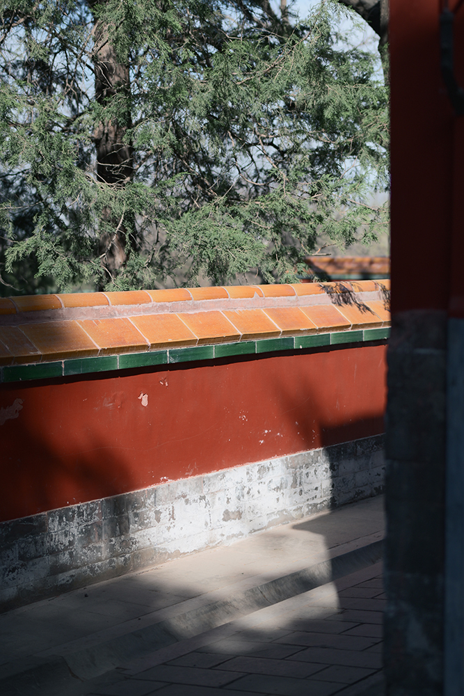 如何将素雅新中式拍出别样韵味？插图5