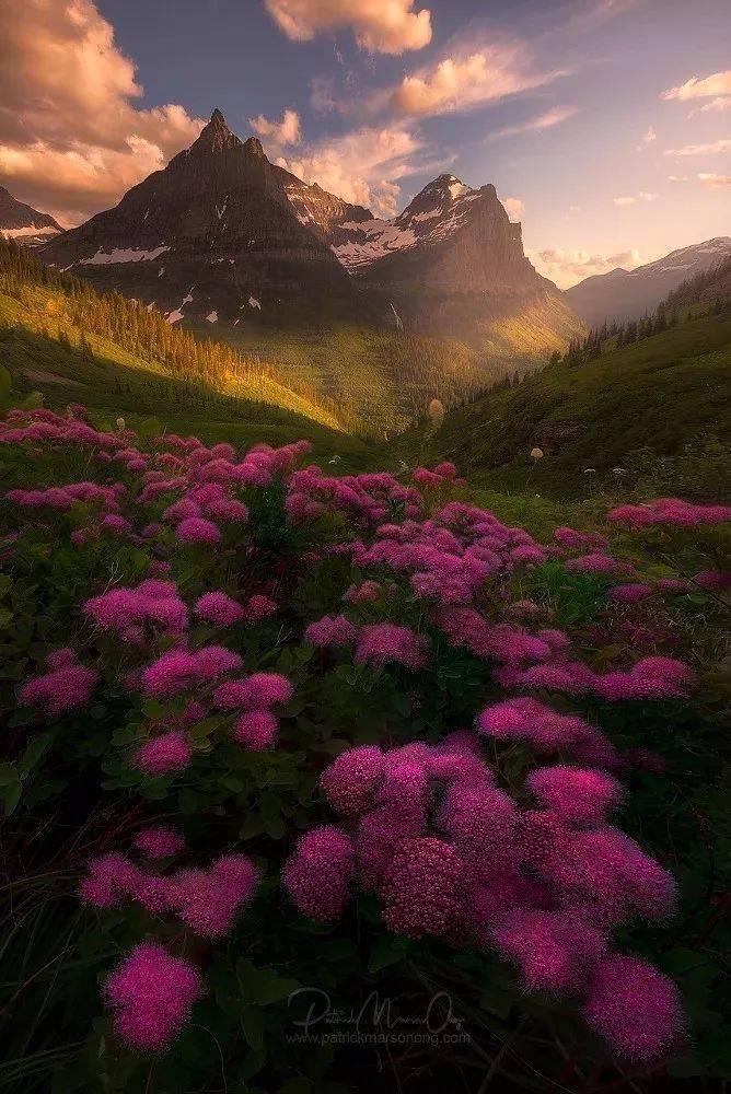 竖构图，视觉冲击力竟然可以这么大！插图9