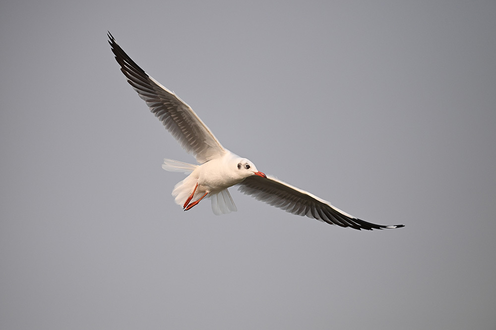 假期拍不停 尼康为你打造专属影像记忆插图14 假期拍不停 尼康为你打造专属影像记忆插图14