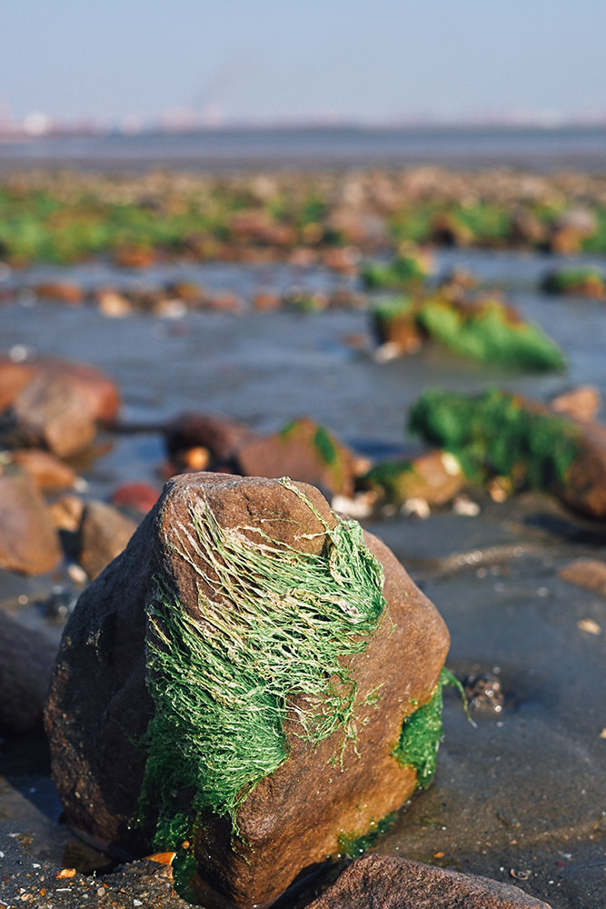 学会这4招，让你把旅行照拍出故事感插图14