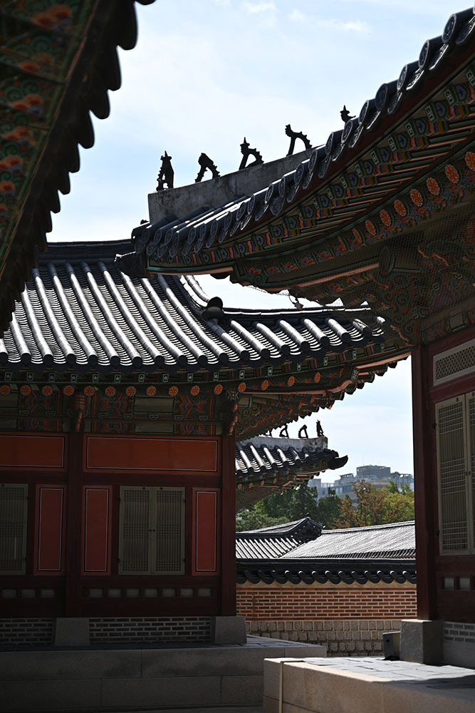 行摄首尔，定格生活——城市街拍技巧分享插图6