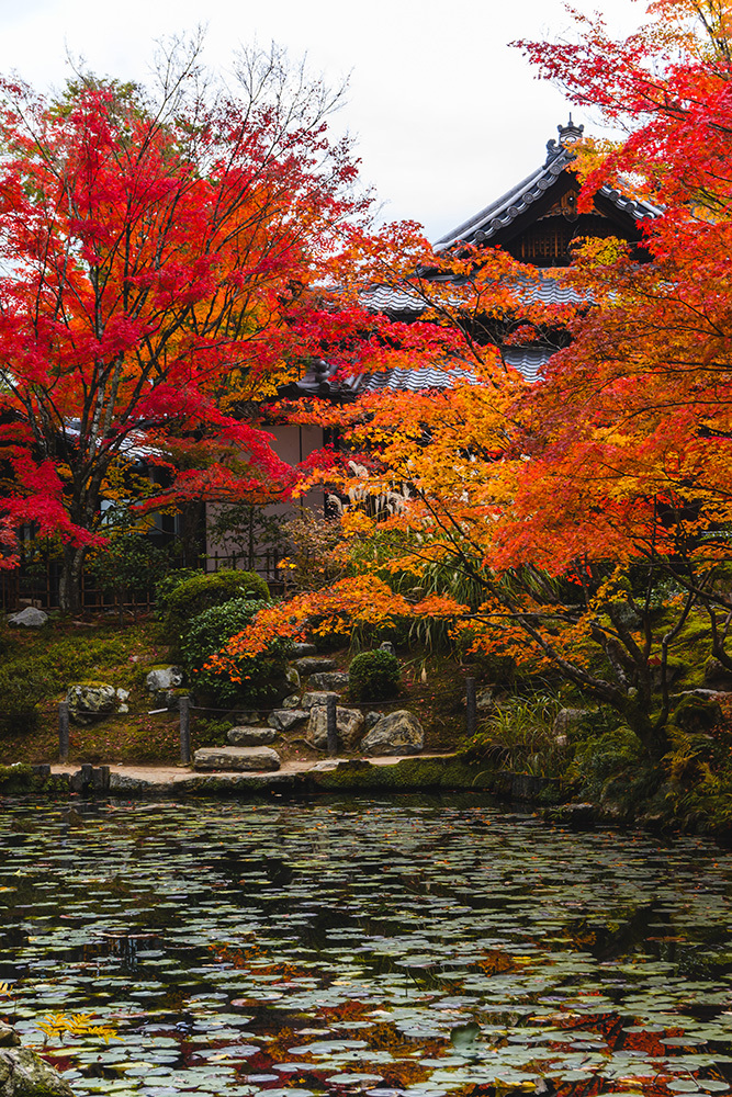 探寻京都红叶圣地，做一场光怪陆离的梦插图10