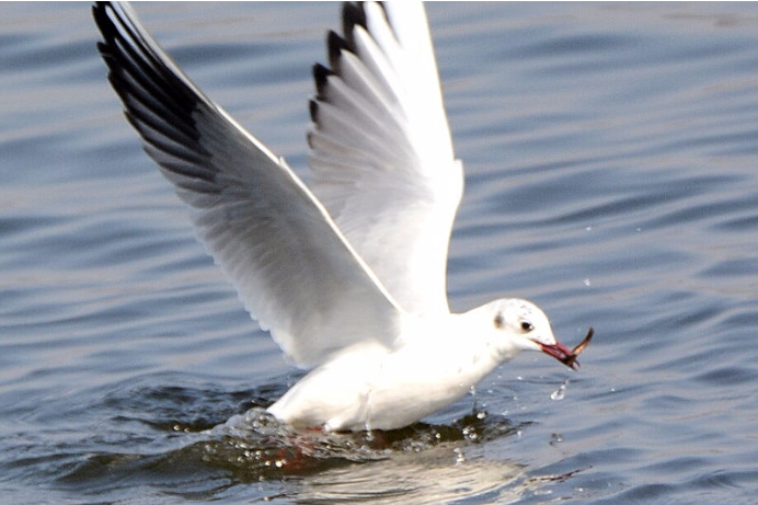 摄影技巧：“摄影眼”的培养插图2