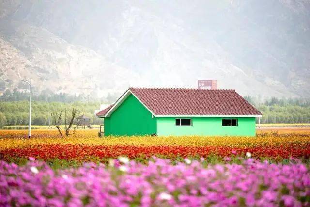 春季拍花、拍人像都能用的万能拍照技巧！插图4