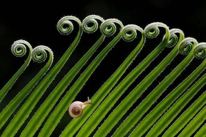 如何用节奏去构图？很简单，但这个错误不要犯！插图11