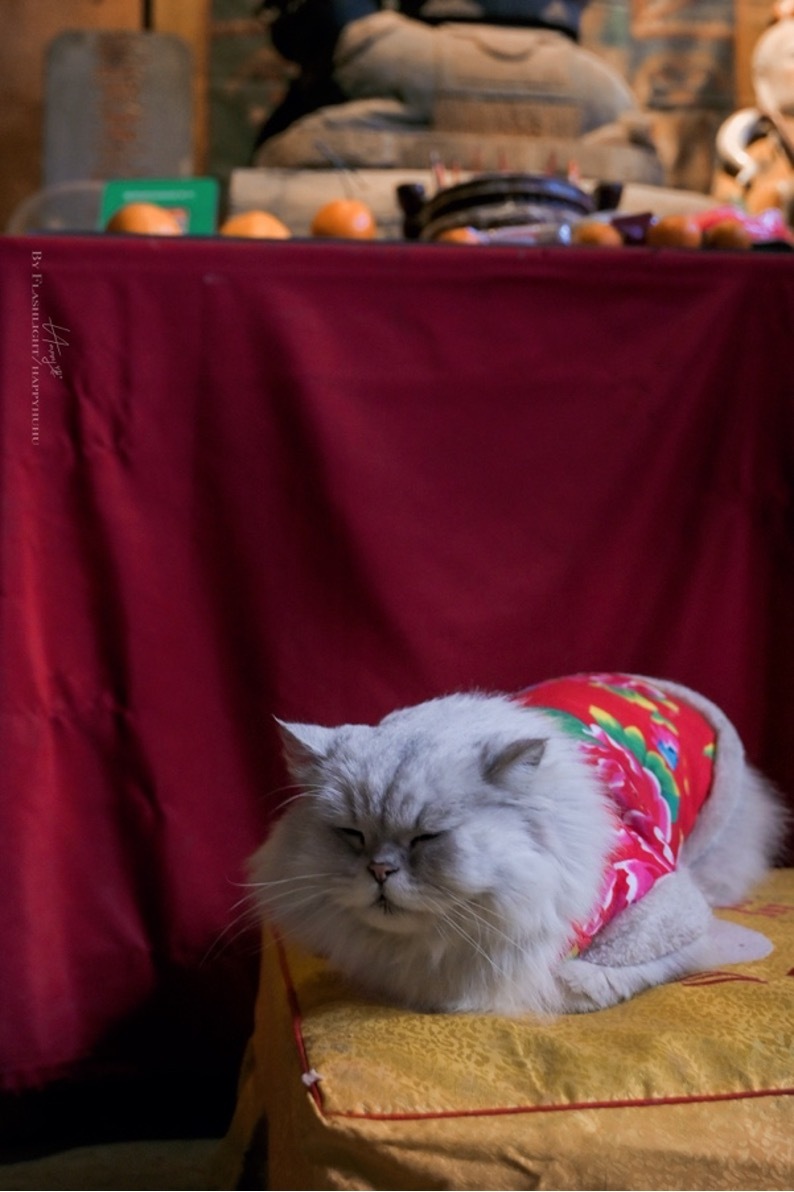 用尼康Z30定格超带感的街拍大片！插图16